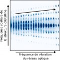 Quand l'instabilité crée l'ordre