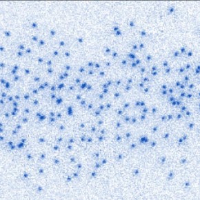Image d'une configuration d'un gaz quantique fermionique © Tim de Jongh et al., Phys. Rev. Lett. 2025.