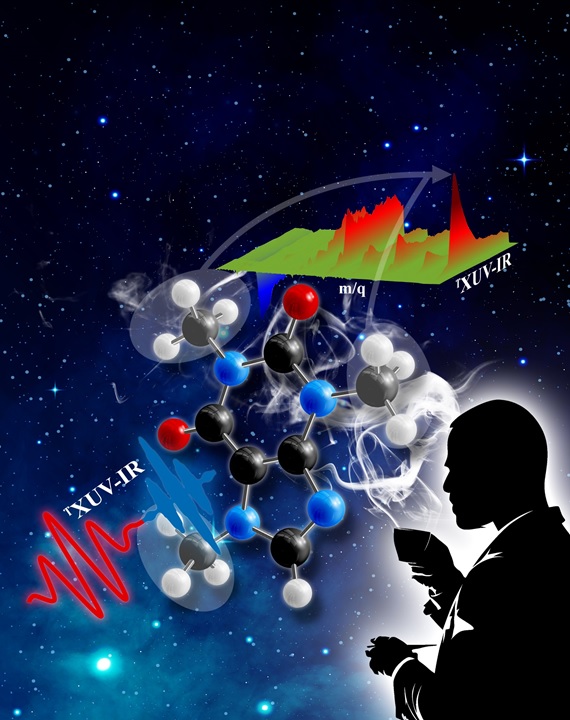 Artwork_Article_Cafeine_JPCL