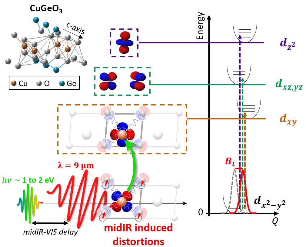 Vibrational coherent control CuGeO3