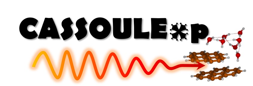 Graphical_abstract_CASSOULExp_Project